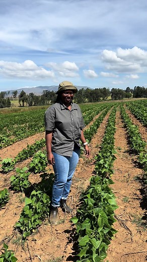 Understanding the Role of an Agronomist in Agriculture