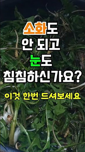봄에 꼭 먹어줘야 하는 씀바귀나물-쓴맛은 빼고 효능은 살린다#씀바귀 #시니어건강 #저염레시피 #눈피로완화 #간단반찬