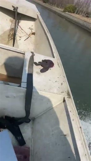 Large HP Remote Control Outboard Motor | On-Water Power Test