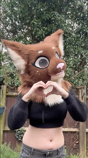 Furry stomp ASMR! Fursuit showcase!