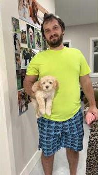 Crate Training Success For Cookie!