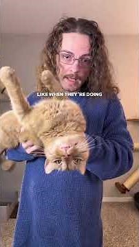 The reason your cat gets poo zoomies