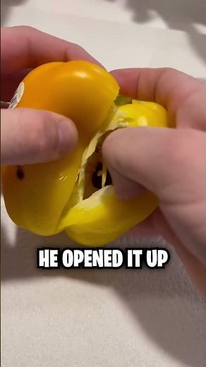 Something Terrifying Found Inside This Pepper! 😱