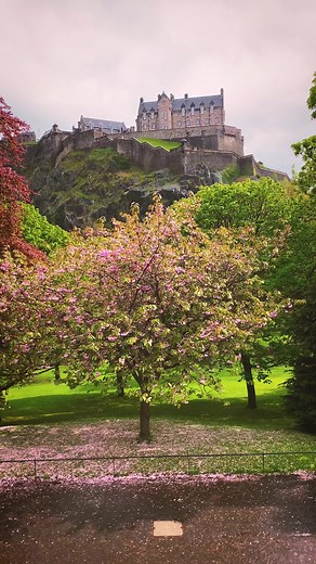 10K reactions · 1.2K shares | Princes Street is Edinburgh's one of prettiest streets, with pretty gardens and lush parkland lines the southern fringe. Princes Street is a must-visit destination. The historic strip is home to several important monuments and attractions, including the verdant Prince Street Gardens that afford sweeping views of the castle. #edinburgh #viralreels #earthbestshots #love #cherryblossom #scotland #castle #earthbestshots | Chiranjit Ghosh | Facebook