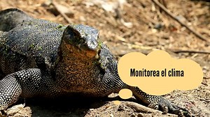 Es la Semana de la Concienciación del Clima Extremo. ¿Ya sabes estos concejos de seguridad para las condiciones climáticas? #semanadelclimaextremo // It’s Virginia Severe Weather Awareness Week. Are you smart about outdoor weather safety? #severeweatherweek | City of Manassas, VA - Government