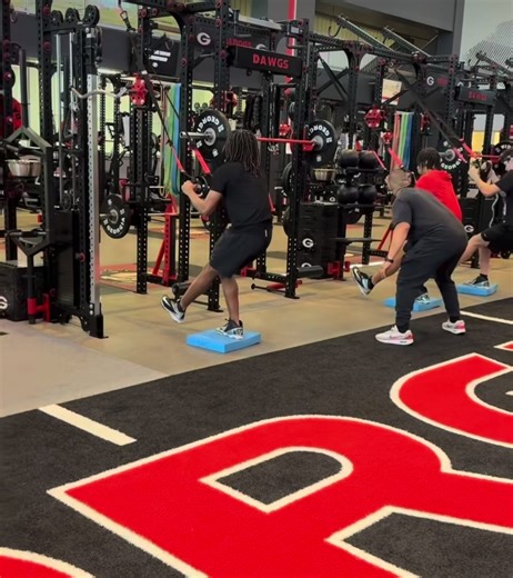 Dawgs Workout Strategy for Peak Performance