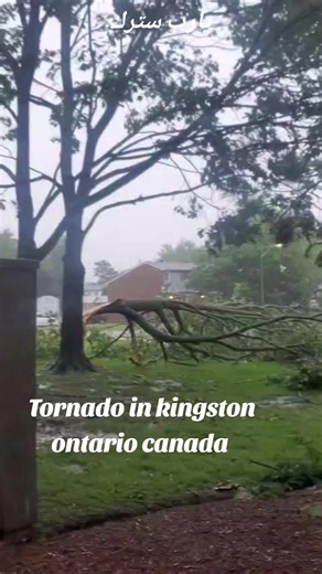 Jurj Battal (@soccerboy1323)’s videos with Tornado Sounds (feat. Nature Sounds New Age, National Geographic Soundscapes, Relaxing Nature Sound, White Noise Sounds For Sleep, Soothing Baby Sounds & Soothing Sounds) - Tornado Sounds & National Geographic Nature Sounds & White Noise Ambience