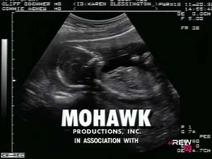 Mohawk Productions/Warner Bros. Television (1998/2003) #2