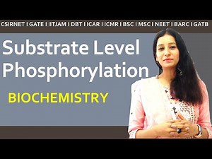 Substrate level phosphorylation easy explanation I NEET CSIRNET IITJAM GATE DBT ICAR ICMR BARC GATB