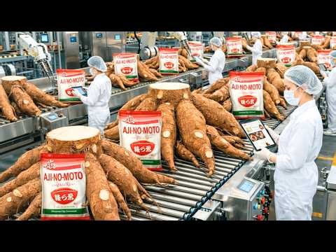 Inside The Factory: How Ajinomoto Makes MSG from Cassava #Factoryprocess