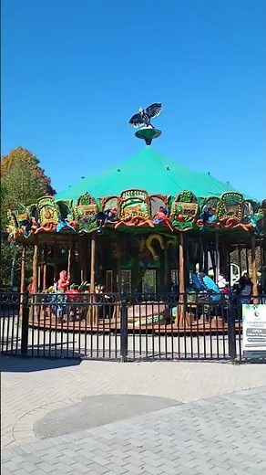 Carousel Toronto Zoo | Spin through the wild 🎠