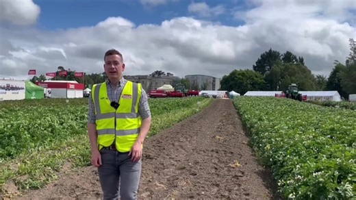 🥔 | Just one day to go until Crops and Technology 2025. The event has more than 50 research stands with trials, machinery demonstrations, hands on displays and so much more. For more info on this free event, click here: eu1.hubs.ly/H0ldJsK0 | Irish Farmers Journal