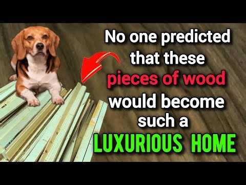 Luxury Dog House with Unique Design: The Wooden Project That Blew Everyone Away 💥🔥