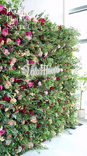 Event Planner Secret! Today I gonna show how to setup this backdrop in 3mins? Perfect for every Wedding & Event Planner! Easy to repackage for multiple uses! #eventplanner #weddingplanner #eventdecor #weddinginspo #weddingdecoration #bridalshower #weddinginspiration #weddingtiktok