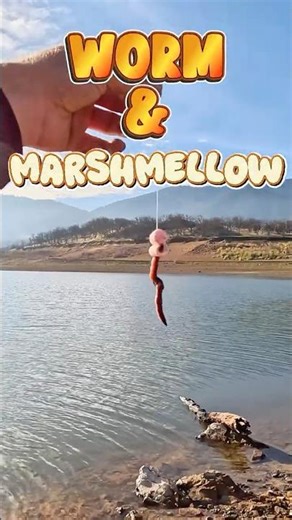 Ever Tried This?? #fishing #trout #troutfishing #steelhead #steelheadfishing #outdoors #worms #fish