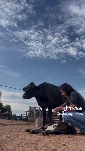 #foryou #trending #agriculture #growmyaccount #farminglife #unfreezemyacount #fypシ #🖤❤️‍🔥❤️‍🔥🔥🌾🌻🦅