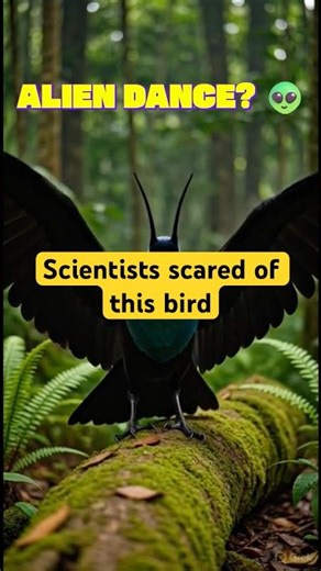 The bird that absorbs 99.9% of LIGHT. 🌑 #shorts #nature #birds