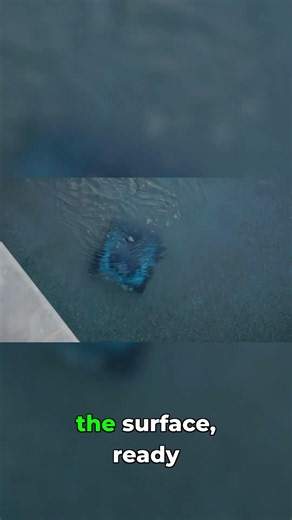 Tap to retrieve: Effortless pool cleaner retrieval! Polaris Freedom