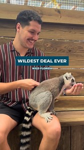 🌟 Don’t Miss Out on the Wildest Deal Ever at @wildfloridairboats ! 🌟 📅 Sale dates: November 29th - December 6th 💲 Price: $99.99 🎁 Give the Gift of Wild Adventure! Enjoy year-round access to over 350 wild and exotic animals in the Drive-thru Safari and Gator Park. Perfect for animal lovers and those who enjoy unique experiences. 🔗 Where to Buy: [Link in Bio] #kissimmee #experiencekissimmee #kissimmeeflorida #mykissimmee #wildflorida #wildfloridasafari #drivethrusafari #gatorpark #wildlife #