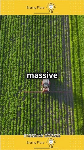 What Is the Green Revolution 🌱