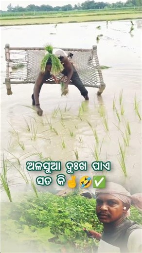 Farmer New Idea..!! 🥺 Sambhalpuri Status 🥰 #comedyshow #funny #shorts #viral #music #funnyman