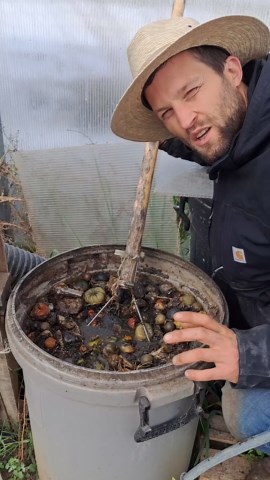 The Secret to the Perfect Tomato Fertilizer