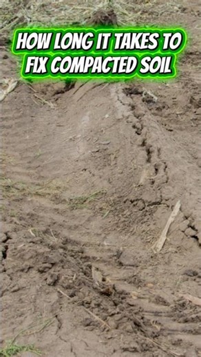 How long it takes to fix compacted soil