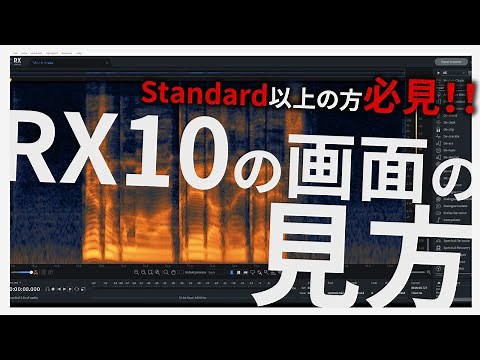 【必見！】RX10の画面の見方【iZotope】