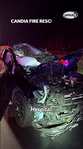 Moose struck by two separate cars on highway
