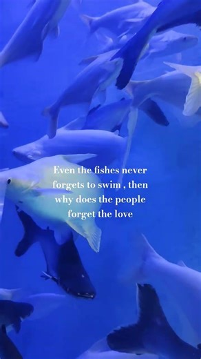 just people and their obsessions😌. #life #love #sad #breakup #quotes #malayalam #kerala #trust #