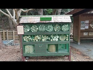 DIY インセクト(昆虫・虫)ホテル