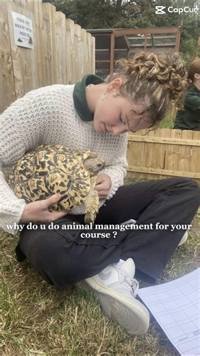 How to Save Animals and Conserve Our Planet