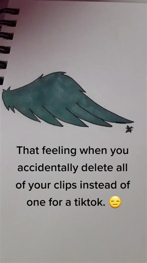 This was the wing that I was drawing for a remake of my how to draw wings tutorial. Didn't press the right thing. #art #drawing #why #relatable