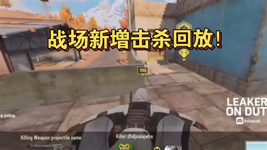 CODM大逃杀模式新增击杀回放！Ul同步战区，最有用更新之一
