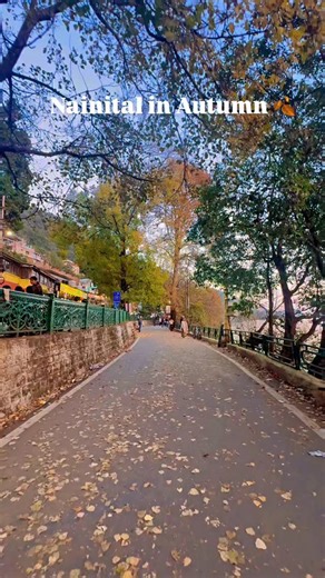 Nainital & Uttarakhand. on Instagram: "Autumn in Nainital feels like nature slowly turning its pages into a golden chapter. Crisp winds, glowing leaves and the lake shimmering like a mirror. This season reminds me that change can be beautiful too.🍁✨ Exploring the hills where every lane smells like chai and nostalgia. Nainital in autumn is pure peace.❤️ ⸻ @awara_photographer 🍂📍 #Nainital #NainitalInfo #NainitalDiaries #NainitalTourism #AutumnInNainital #NainitalLake #UttarakhandTourism #Incred