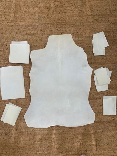 MANUSCRIPT Vellum, Goatskin Parchment Leather Sheets, Calfskin for Calligraphy, Painting, Writing, Bookbinding & More, Goat Vellum Parchment - Etsy