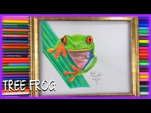 Red-Eye Tree Frog || How to Draw Tropical Rainforest Colorful Animals Tutorial Agalychnis Callidryas