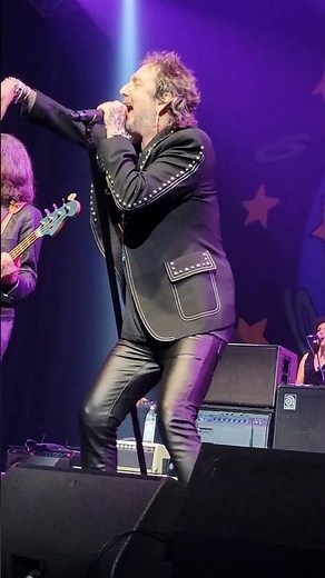 The Black Crowes (live)