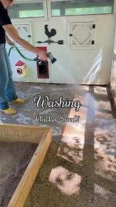 💦🐓 This was quite the experiment! If you’re wondering if you should do this too, please read 👇🏼