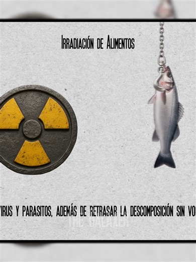 200 DÍAS En Un Mundo RADIACTIVO ☢ PT7 #Fallout #Fallout76 #Videojuegos #Videogames #Gamer #Gaming #PC #PCGaming #TheGalaxer