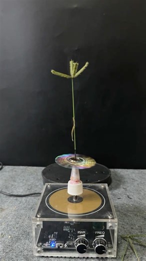 Tesla coil testing ep4