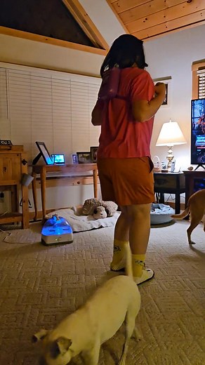 Janea's Halloween costume. Dora the Explora 🤣🤣🤣 | Dennis Speer