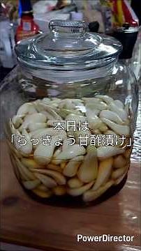 【旬の食材】休日キッチン「らっきょうの甘酢漬け」 #料理 #らっきょう #休日の過ごし方 #休日 #旬の食材