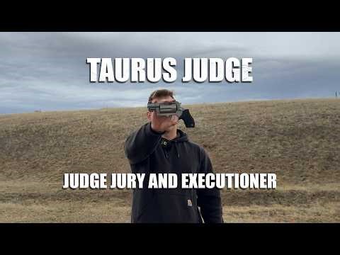 The Taurus Judge - Battlefield Pickup