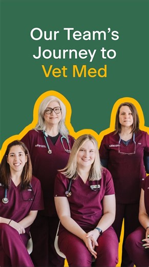A common theme you’ll find throughout our industry is pure passion. ❤️ Take Keri and Debbie, for example, who bring 60 years of experience combined to our team. They had two different paths into vet med, but have never looked back since their journeys began. Listen up to hear their stories! | Ruby Veterinary Urgent Care
