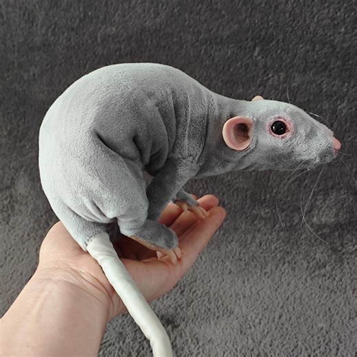 Dumbo Rat, Poseable Art Doll, Realistic Animal - Etsy Australia
