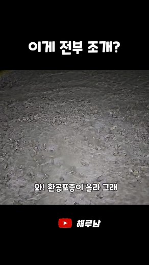 갯벌에 촉수만 내밀고 있는 이게 전부 조개?! #해루남 #유튜브 #갯벌체험 #해루질 #해루질유튜버 #뻘짓유튜버 #fishhunter