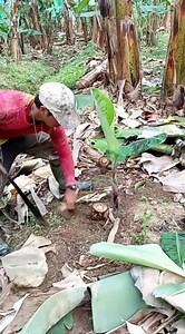 Ingun Aniun Ra | Jhun Casalta Podador