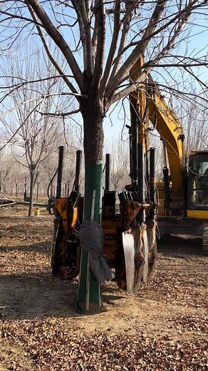 Tree Digging Machines: The Ultimate Factory Supply Guide