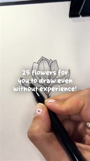 25 flowers for you to draw even without experience 😱 ✨ Would you like to learn how to draw flowers even if you think you don't have the talent for it? ✨ Do you want to discover 25 flowers that you can draw without any difficulty? ✨ Would you like to start in just a few minutes, without even needing to leave your house? Click to learn more and find out! | Apolo Media